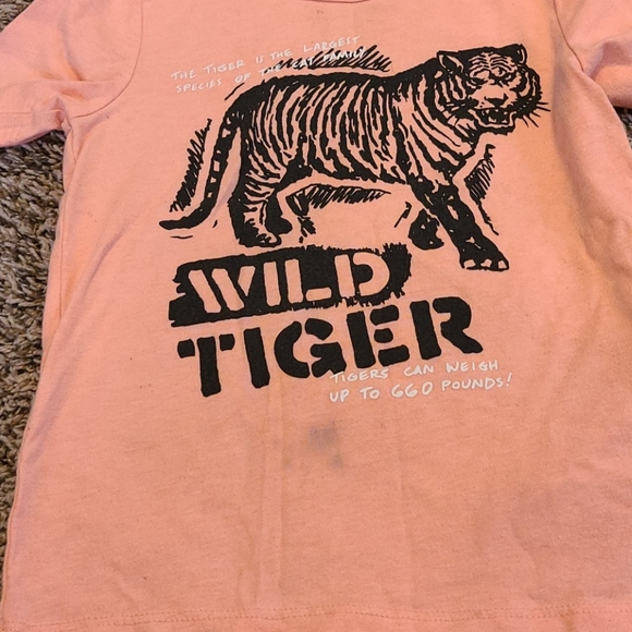 Carters Boys T-Shirt Bundle size 3T - Picture 4 of 6